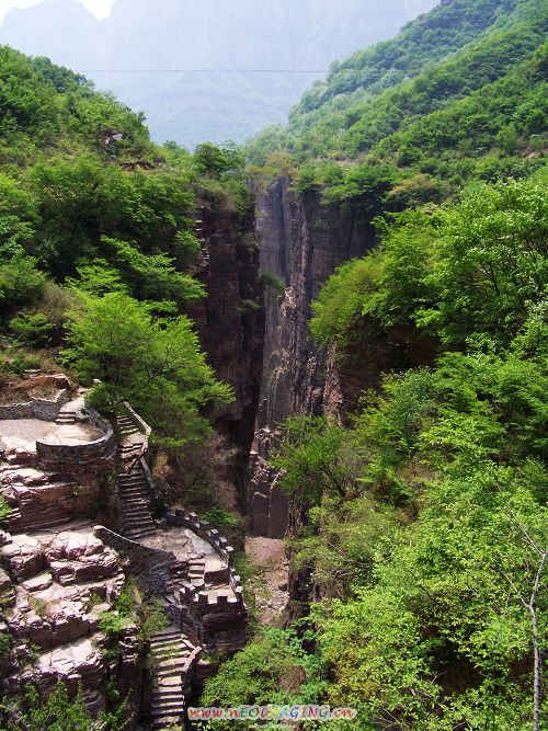 100_9277-1.jpg