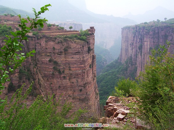 100_9371-1.jpg