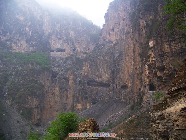 100_9401-1.jpg