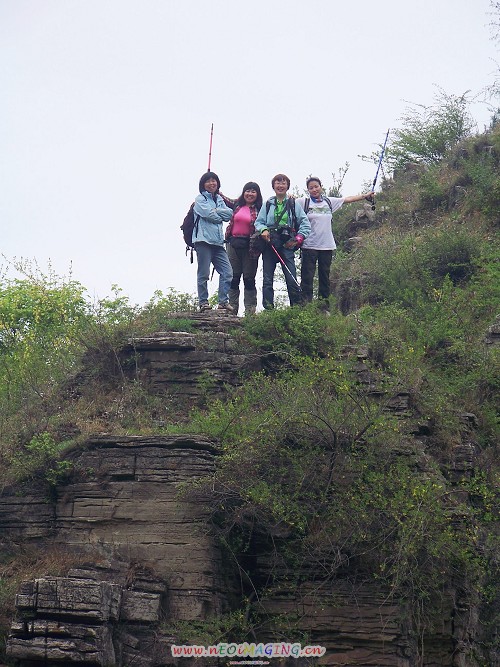 100_9504-1.jpg
