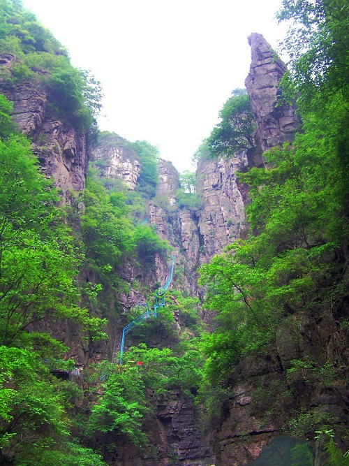 100_9602-1.jpg