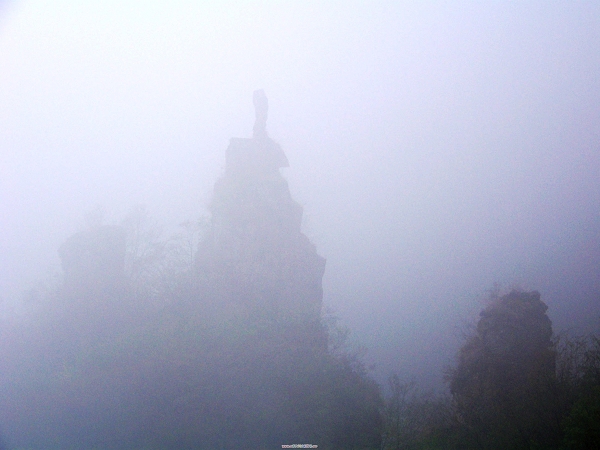100_9462-1.jpg