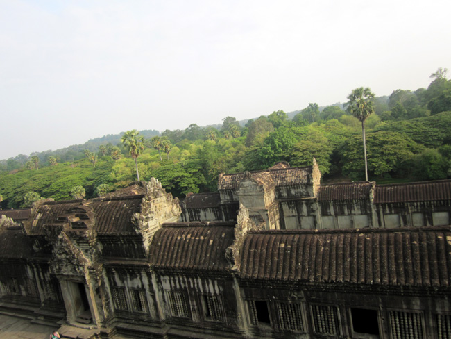 img_1595.jpg