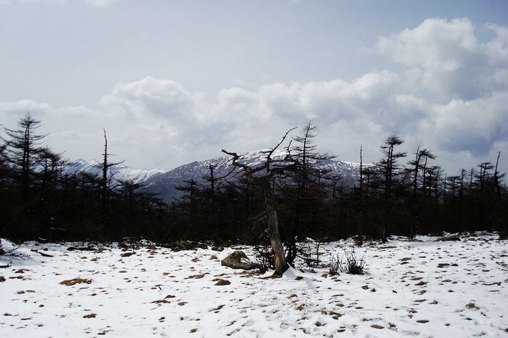 neo_img_dsc00897.jpg