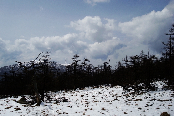 neo_img_dsc00898.jpg