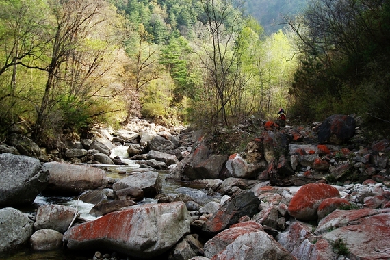 neo_img_dsc00909.jpg