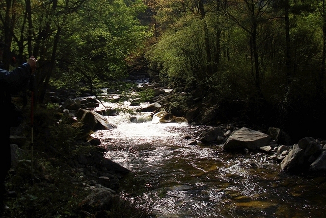 neo_img_dsc00912.jpg