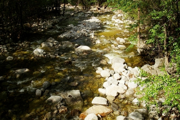 neo_img_dsc00930.jpg