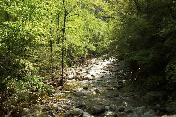 neo_img_dsc00931.jpg