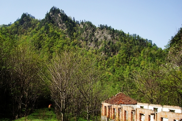 neo_img_dsc00935.jpg