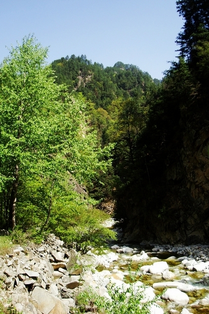 neo_img_dsc00936.jpg