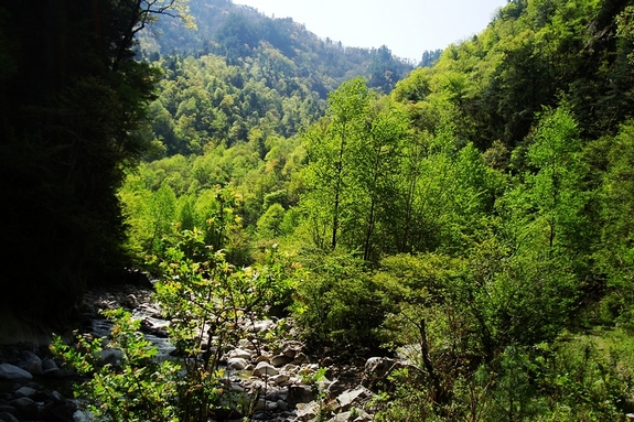 neo_img_dsc00939.jpg