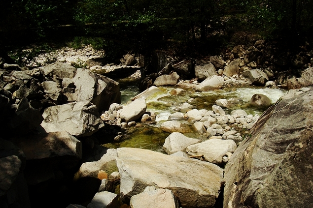 neo_img_dsc00965.jpg