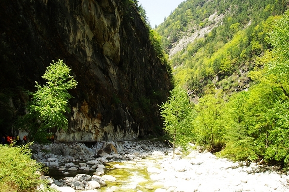neo_img_dsc00968.jpg