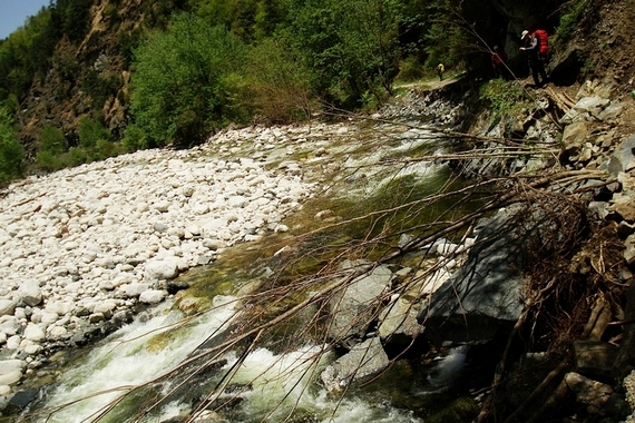 neo_img_dsc00977.jpg