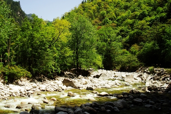 neo_img_dsc00971.jpg