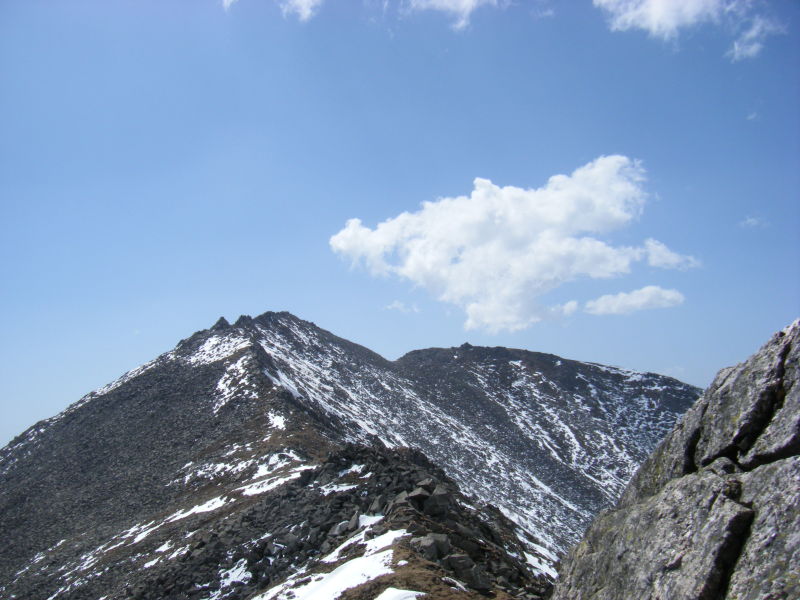 cacdazo5.jpg