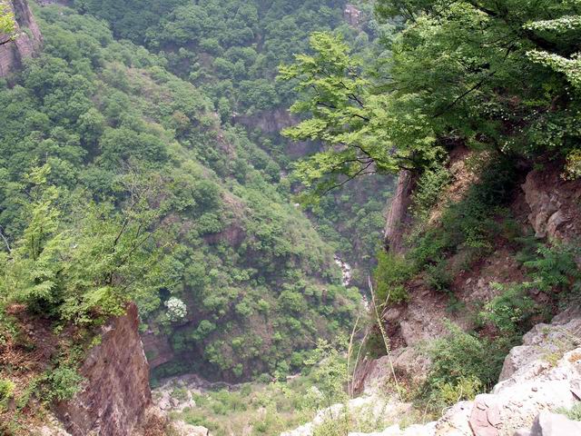 С p5077994.jpg
