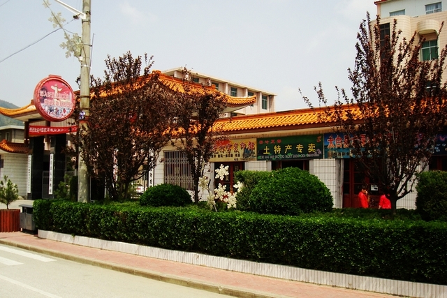 neo_img_dsc01001.jpg