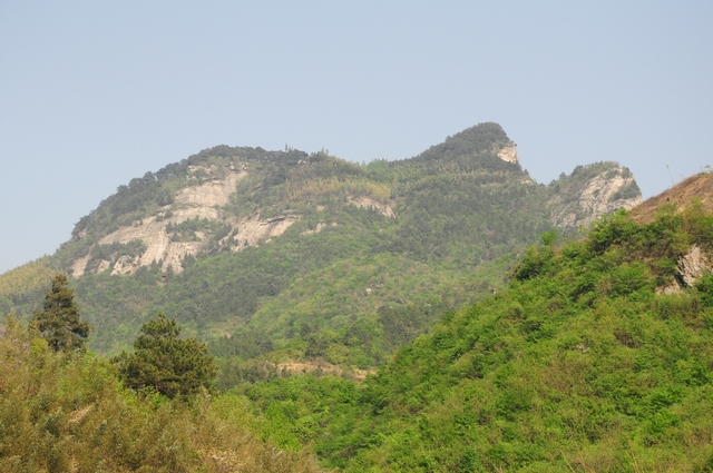 dsc_2022.jpg