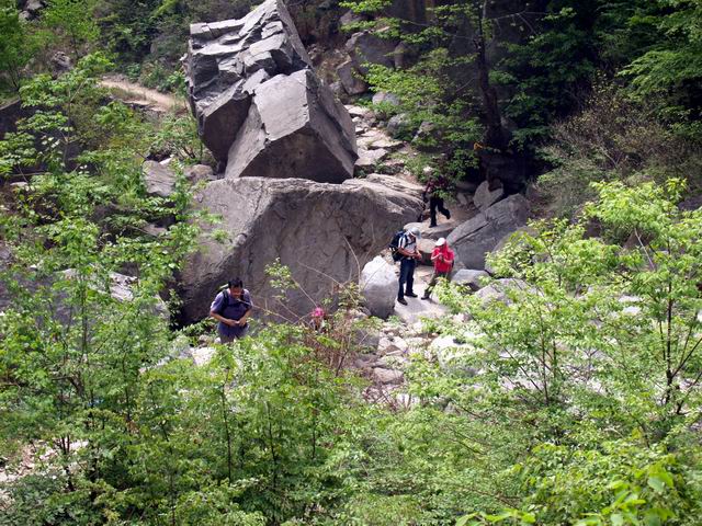 С p5078022.jpg