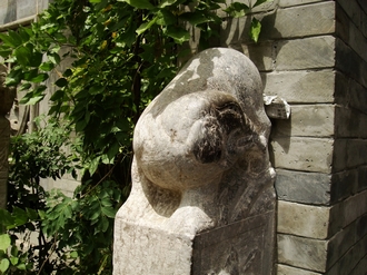 dsc00459.jpg