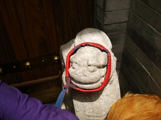 dsc00462.jpg