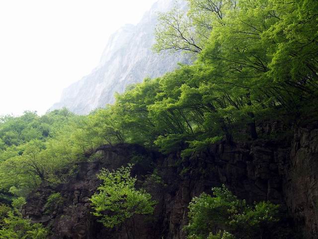 С p5078033.jpg