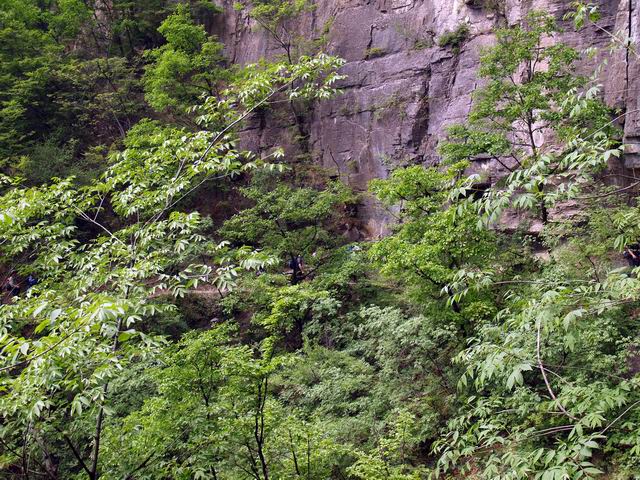 С p5078048.jpg