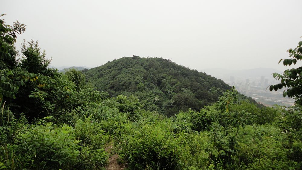 neo_img_dsc02905.jpg