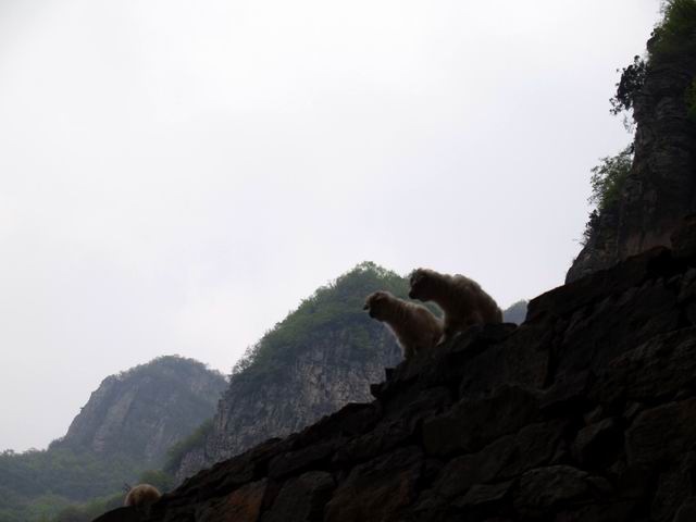 С p5078051.jpg