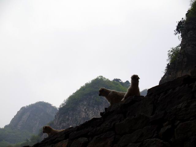 С p5078052.jpg