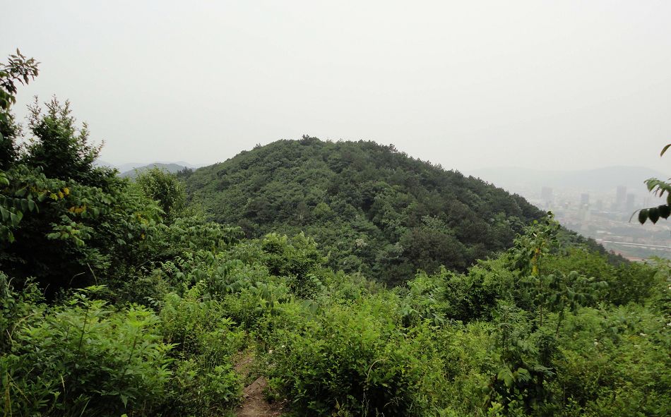 neo_img_dsc02905.jpg