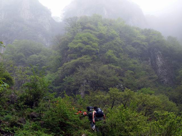 С p5088171.jpg