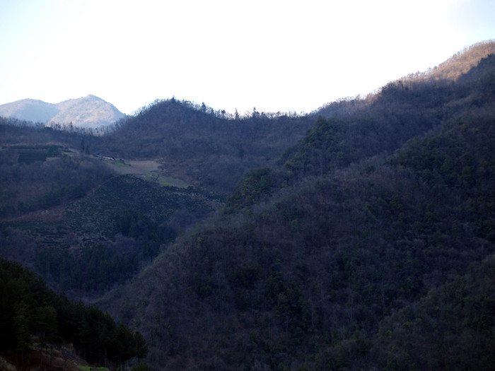 p3287176_.jpg