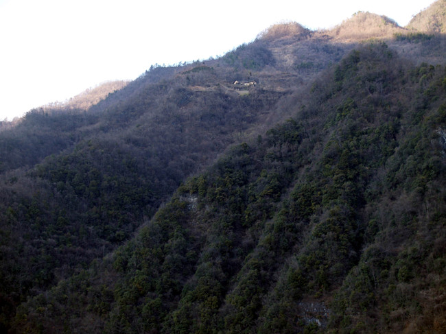 p3287175_.jpg
