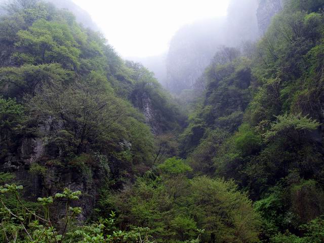 С p5088173.jpg