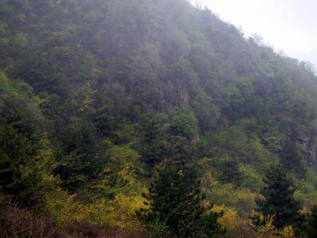 С p5088218.jpg