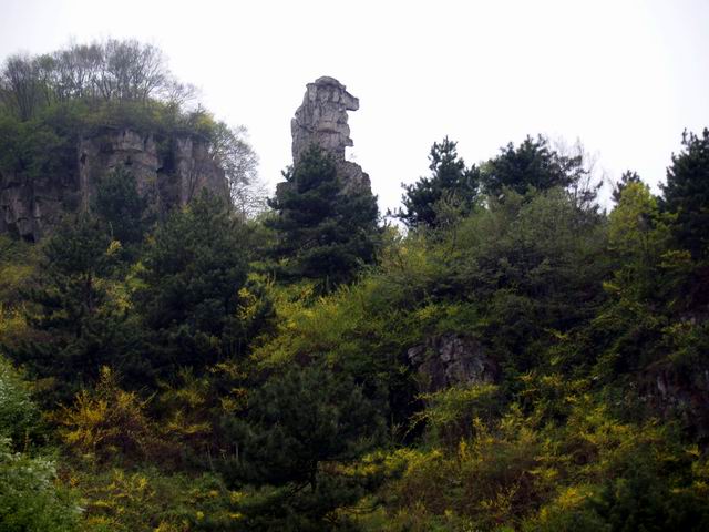 С p5088248.jpg