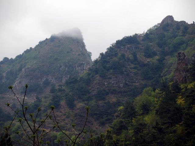 С p5088234.jpg