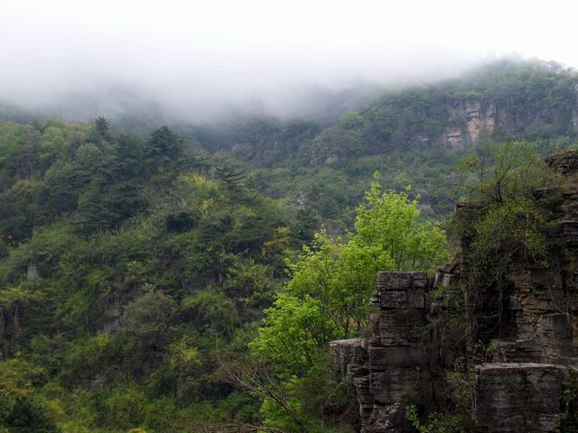 С p5088249.jpg