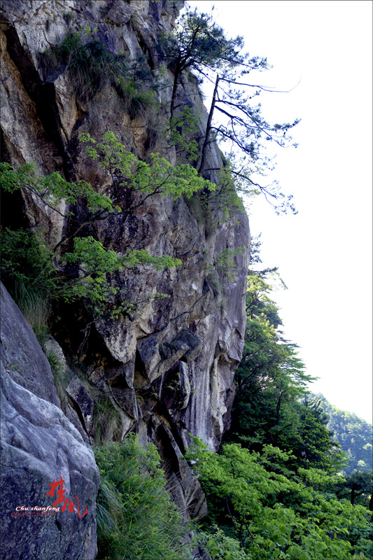Ƭ 09.jpg