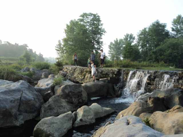 dsc08871.jpg