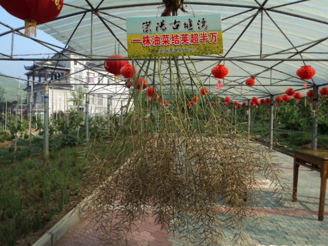 dsc08942.jpg