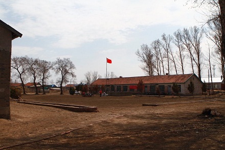 11.jpg