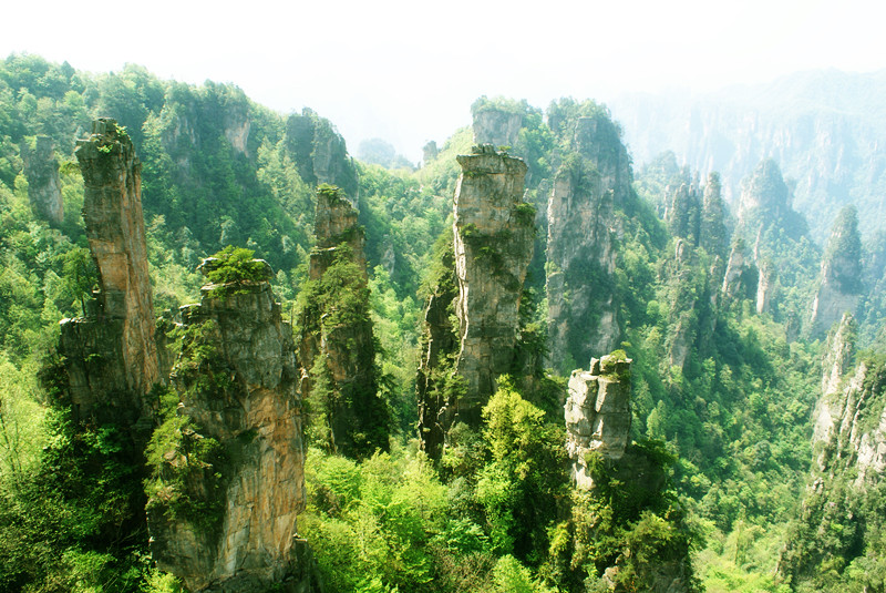 dsc00294_.jpg