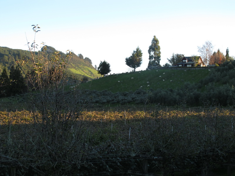 img_0716aa.jpg