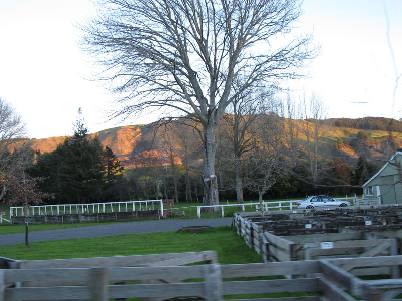 img_0737aa.jpg