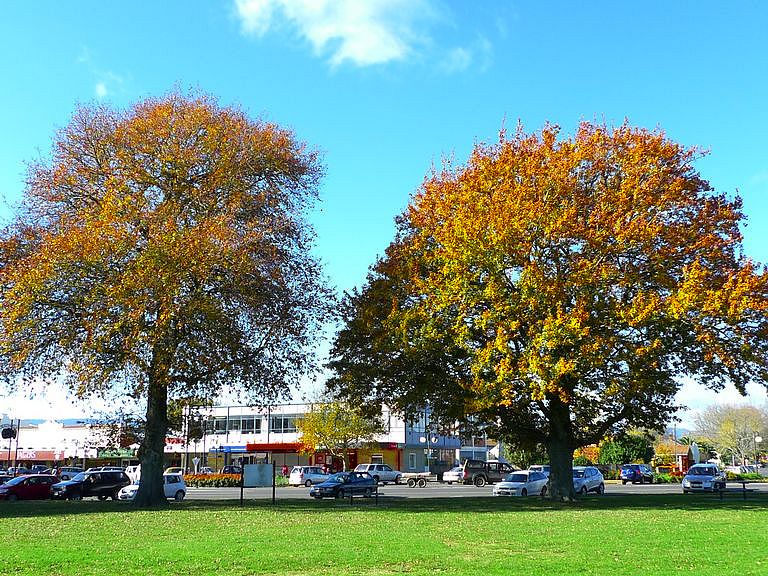 p1070136.jpg