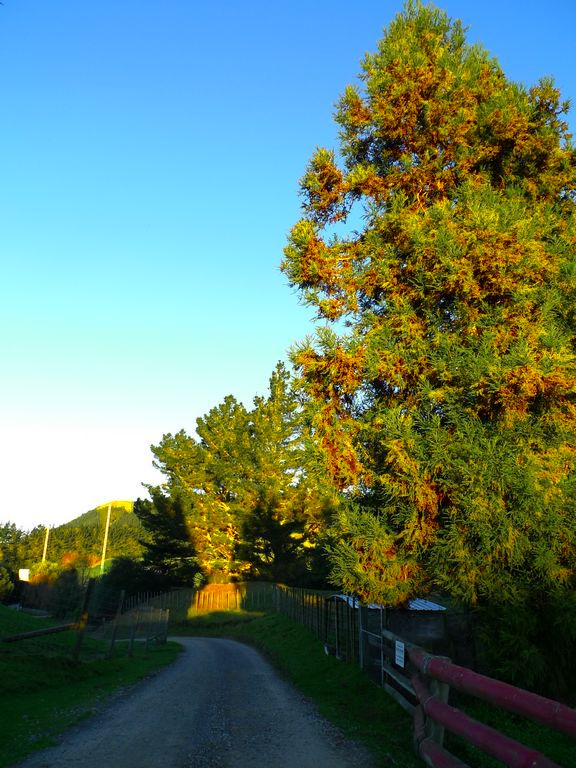 p1070257.jpg